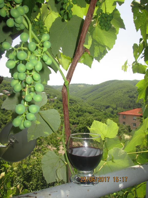 Cherqe Guest House Sighnaghi Exterior photo